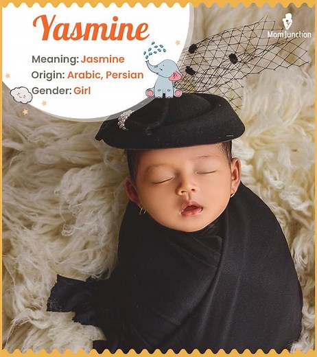 Yasmine Name Meaning, Origin, History, And Popularity