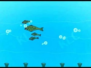 Fish swimming in water 2d flash animation