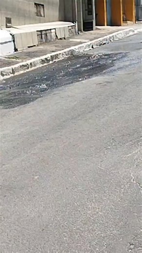 Fábio Roberto Notícias | Em pleno verão quando muitas famílias são afetadas com o desabastecimento, em Ilhéus, um cano estourou abaixo do Viaduto Catalão, e está... | Instagram