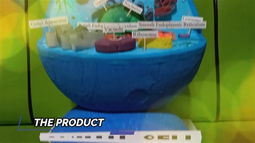 My 3d Animal Cell model👨‍🔬#fyp #masterpiece