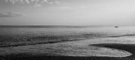 Our Psychotherapy and Counselling Practitioners | Brighton and Hove Psychotherapy