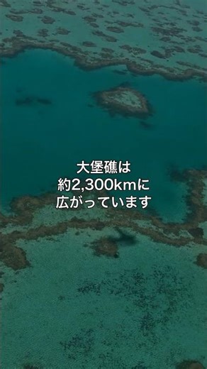 大堡礁が“生きている存在”だということ、知っていましたか？