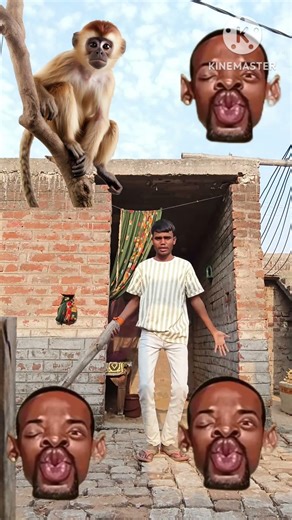 कौन भगवान को मानते हैं ? #shankar ji#Ganesh ji#Hanuman ji#Laxmi ji#relegious #bhakti 670