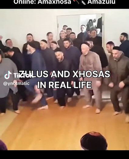 Cultural Insights: Xhosa and Zulu Facts Revealed