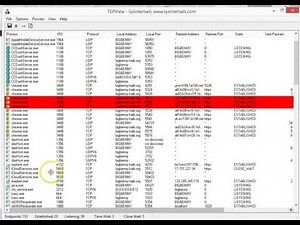Detecting Virus TCPView