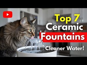 Top 7 best ceramic cat fountain with filters review (Exclusive) safer water guide 2026