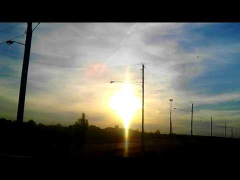 Real Phoenix caught on camera!! Must see video!