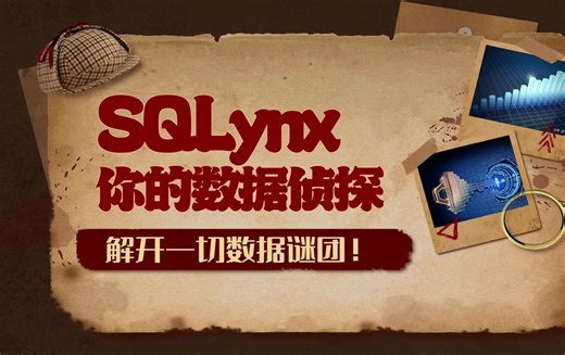 SQLynx你的数据库侦探，解开一切数据谜团！SQL IDE的时代已经来了，web ide才是大势所趋，免安装，下载后一键启动