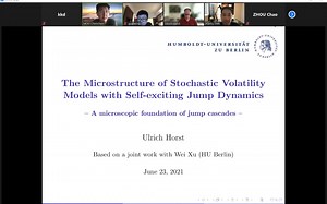 (Ulrich Horst)The Microstructure of Stochastic Volatility Models with Self-Excit