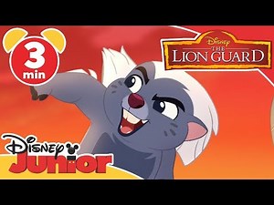 The Lion Guard | DJ On Safari: Bunga | Disney Junior UK