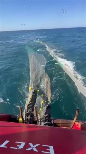Scotland twin rig — Brixham boat hauling back ⚓️🌊