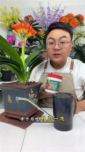 Why Your Cymbidium Isn't Blooming - Fix It Fast