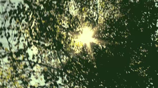 Understanding 'I Know It's Over' by Jeff Buckley