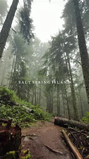 In the Southern Gulf Islanda sits Salt Spring Island, known for its mild coastal climate and strong artisanal community. Winter here is quieter and slower, which makes for a cozy getaway. Here’s what our weekend looked like 👇 No trip feels complete without a few island staples - coffee at TJ Beans, elevated dinner at Cassette, seaside lunch at Rock Salt Restaurant, sampling at Salt Spring Island Cheese, Vivezza winery, and an evening Mobys Pub for pool and live music. With the temperate weather