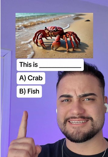 Essential English Vocabulary Test: Can You Say These Words?