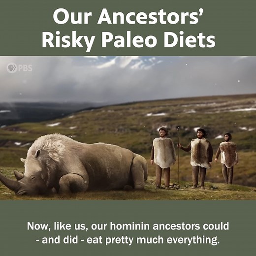 The Risky Paleo Diets of Our Ancestors | Eons • PBS
