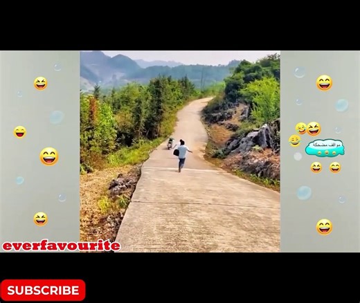 "Hilarious Human and Animal Moments | Funniest Compilation Ever!"