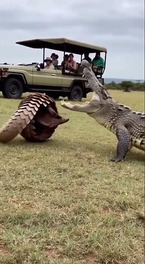 Terrifying Crocodile Attack Caught on Camera | Nature’s Deadliest Predator