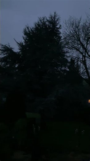 They can sense the change coming. 🐦 🐦 😃