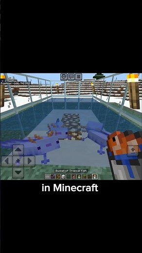 RARE Purple Axolotl in Minecraft 😱💜 (1 in Millions!) #minecraft #gaming #youtubeshorts #memes #fyp
