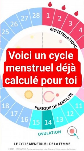 calcul du cycle menstruel.voici un cycle menstruel déjà calculé pour toi