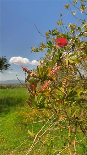 Golf Son Gual - Amazing Golf Course