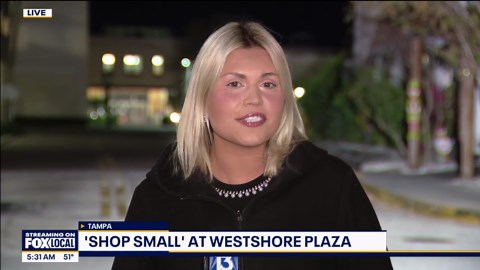 WestShore Plaza businesses still open amid redevelopment rumors