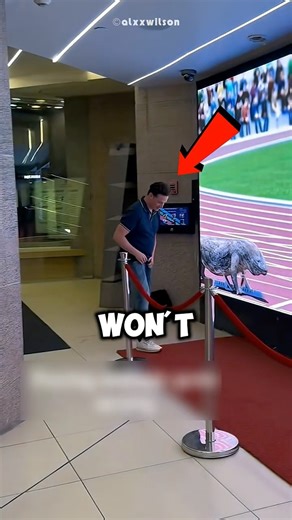 Lizard Race 😱🦎