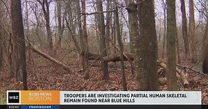Partial human remains found near Blue Hills Reservation in Milton