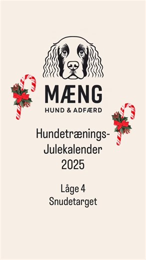 🎄4. december🎄 Snudetarget Bag dagens låge gemmer sig snudetarget – en initiativøvelse, der styrker selvtillid og kan bruges til mange ting. Du skal bruge: Godbidder En klikker eller et markørord* Snudetarget betyder, at hunden dutter med snuden på din hånd. Start med hunden foran dig og hold targethånden ud til siden, vandret i hovedhøjde. Marker og beløn først for interesse for hånden. Efter et par gentagelser, vent på at hunden dutter på din hånd, marker og beløn her. Hvis hunden ingen inter