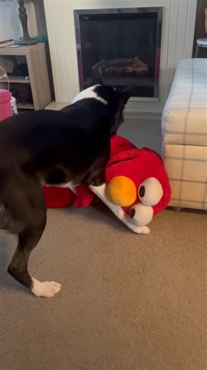 6.5K views · 3.1K reactions | Barney and big Elmo join the battle #TheLastSamurai#react#reaction | Stephen Kelleher | Facebook