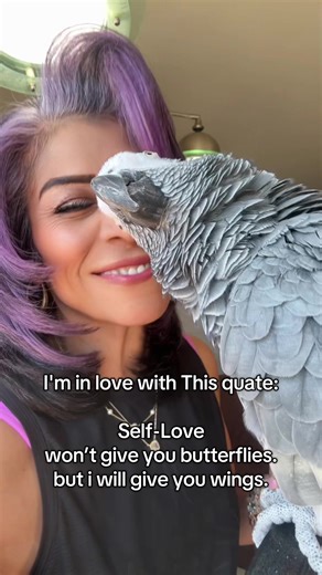 Rokko.baby (@rokko.baby)’s videos with Runaround Sue - Remastered 1991 - Dion