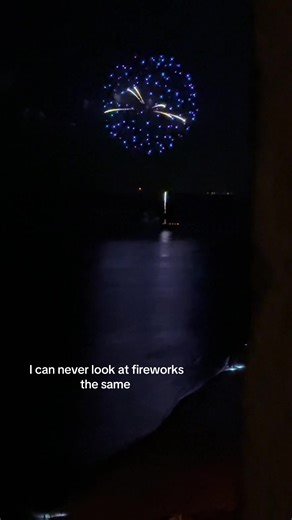 They’ll never be the same after this movie… #fireworks #fypシ #anime #cringe #asil