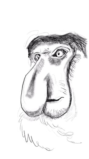 From sketch to proboscis monkey #digitalart #proboscismonkey #animalart #artshorts