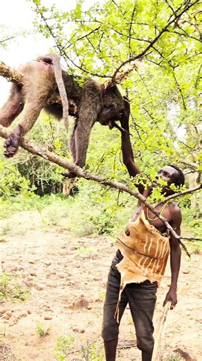 Living with Africa's Last Hunters: The Hadza Experience 🌍 #realtribeslife #triballife