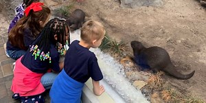 Fort Fisher Aquarium plans $75 million expansion, temporary mall location