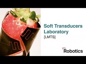 Soft Transducers Lab (LMTS) - EPFL Robotics Lab