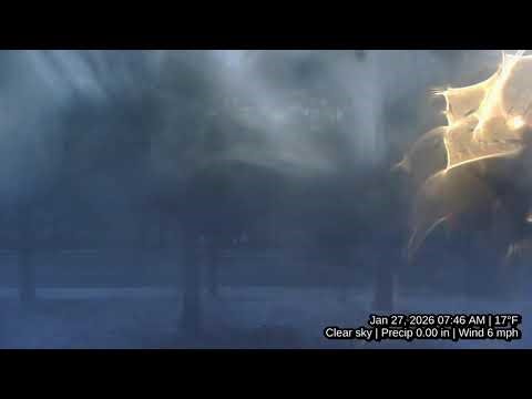 Winter storm time-lapse, January 24th-28th