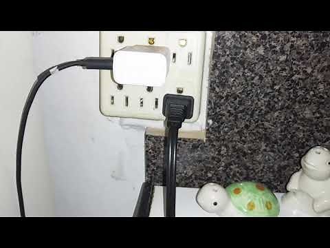 How to get rid of ants in your kitchen with quantum ant gel bait for those tiny ants ghost ants