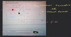 24) Study the pedigree chart given below showing the inheritanc... | Filo