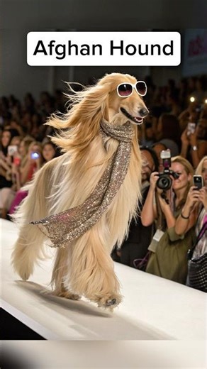 Most Beautiful Dog Breeds In The World 🤯