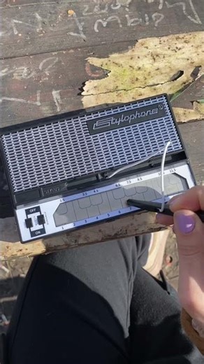 Can I play Harry Potter on Stylophone? #stylophone #challenge #shorts