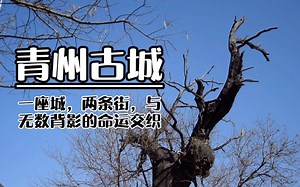青州古城|一座城，两条路，与无数背影的命运交织