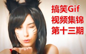 搞笑Gif视频集锦 第十三期