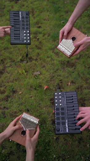 Playing 'Haggstrom' from Minecraft on Kalimba | Tutorial