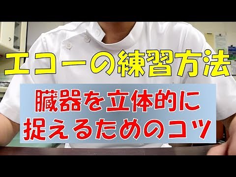 【エコー検査】超音波検査士が教える！エコーを立体的に見るコツ！