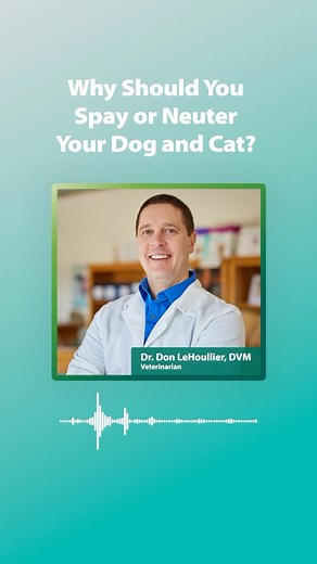 4 comments | Are you considering spaying or neutering your pet?...