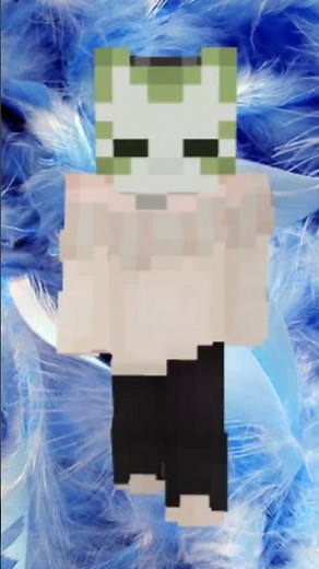 Rating Minecraft Skins Pt305
