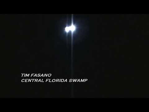 Best Tree Knocking Bigfoot At Night