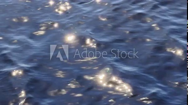 Sunlight sparkles on the gentle ripples of a clear stream, creating a mesmerizing pattern on the water's surface. This serene image captures the tranquil beauty of nature